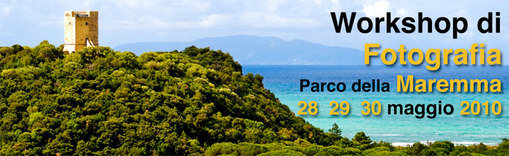 Banner WS Maremma Banner WS Maremma