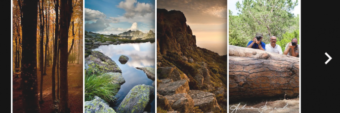 Screeshot nuova home